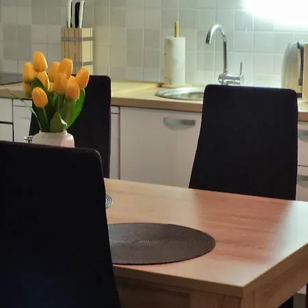 Apartman Roko * Slatine