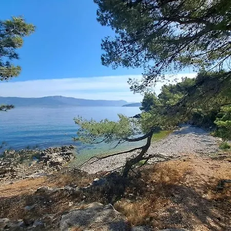Apartman Roko