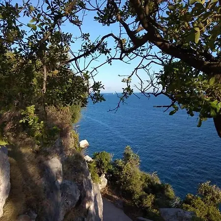 Roko Apartament Slatine